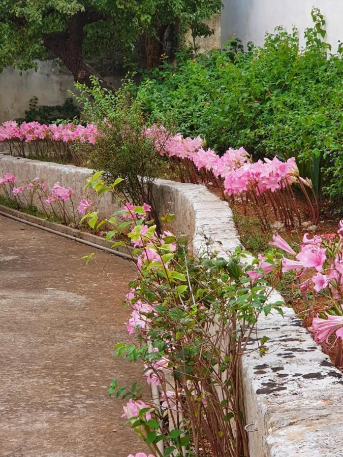 Villa Nel Salento - Ampie Camere E Giardino, Fino A 9 Persone Barbarano del Capo 외부 사진
